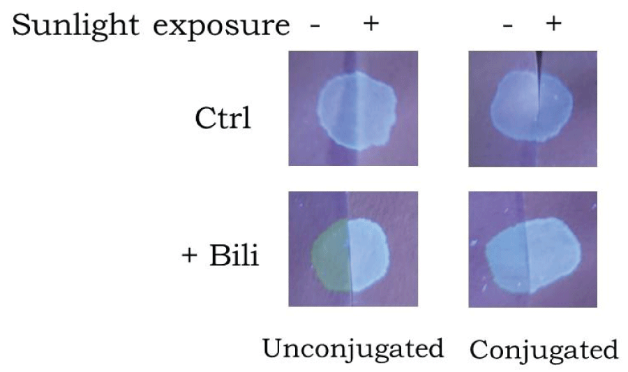 Environmental influence on blood serum detection using ultraviolet 365