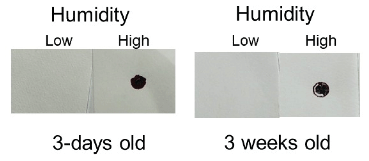 The Effect of Humidity on Blood Serum Pattern Formation and Blood Transfer