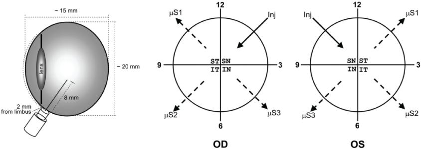 jfsr-aid1005-g001