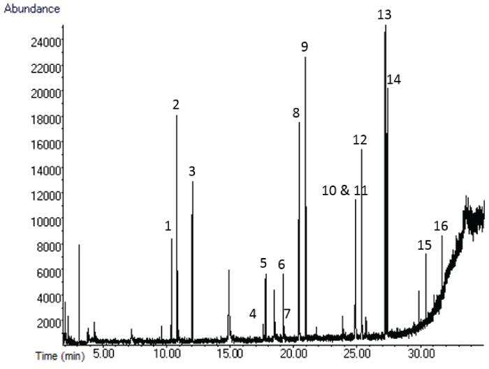 jfsr-aid1008-g001