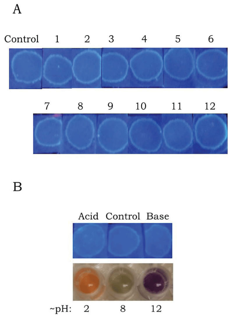 jfsr-aid1024-g002