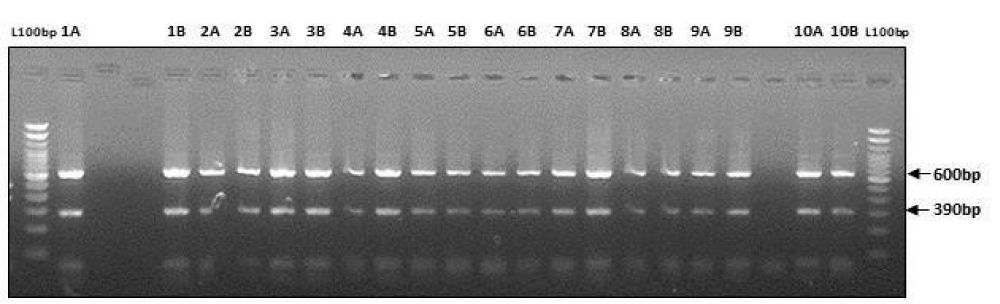 jfsr-aid1081-g006